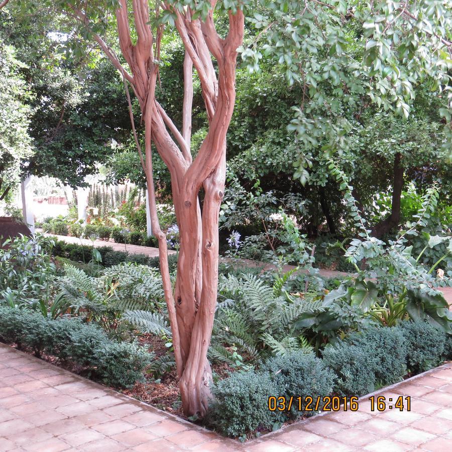 Hotel Boutique Quinta Maria Santa Cruz Esterno foto