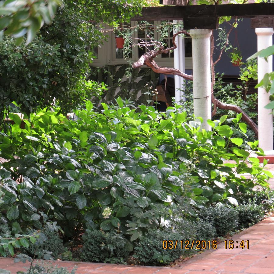 Hotel Boutique Quinta Maria Santa Cruz Esterno foto