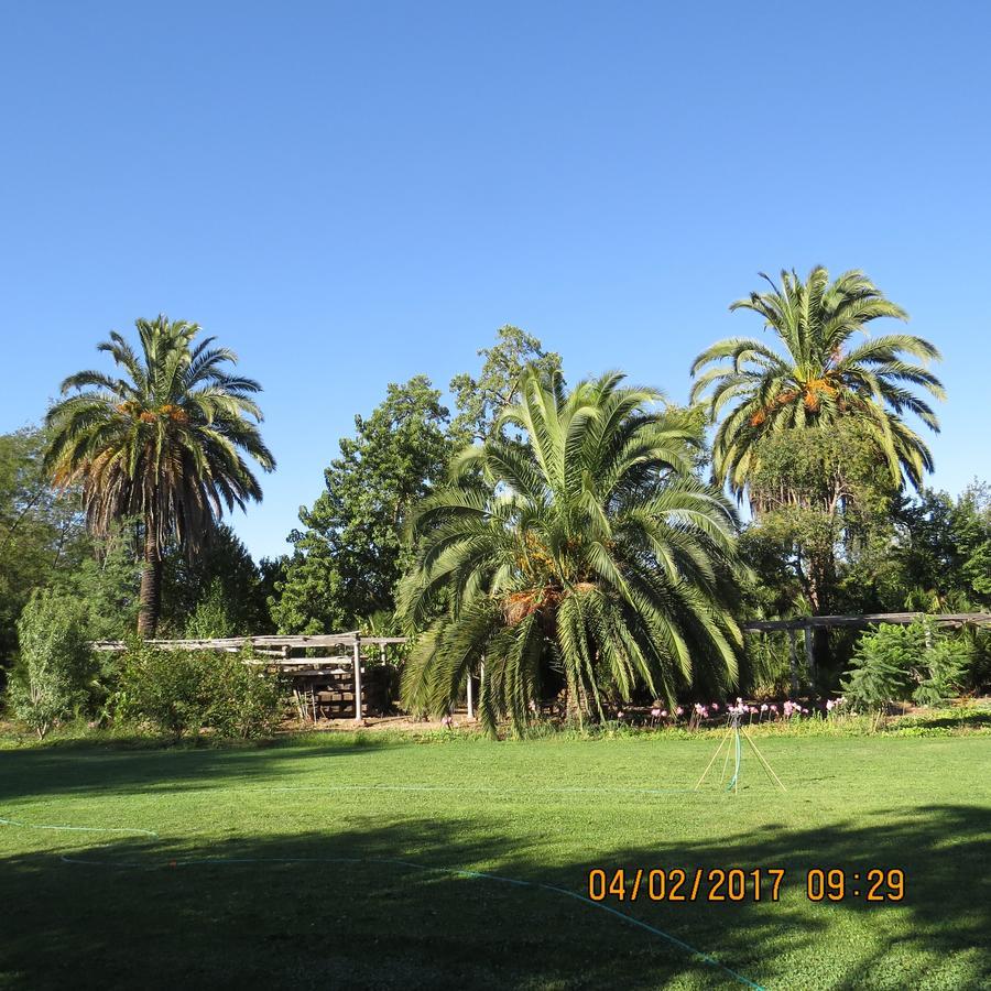 Hotel Boutique Quinta Maria Santa Cruz Esterno foto