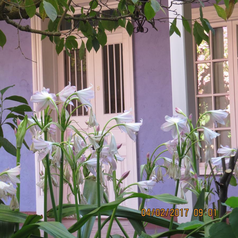 Hotel Boutique Quinta Maria Santa Cruz Esterno foto