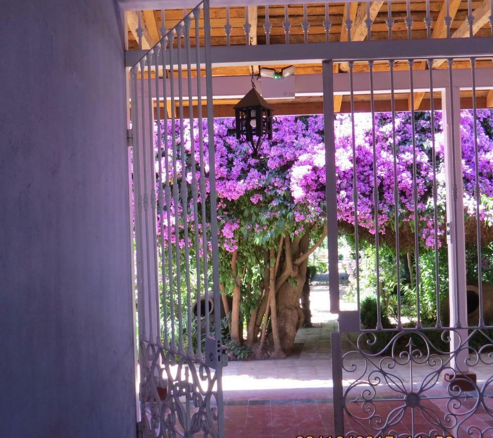 Hotel Boutique Quinta Maria Santa Cruz Esterno foto